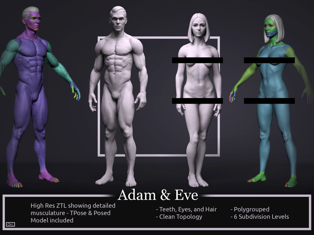 Basemesh Set - Adam and Eve 3D Model Collection