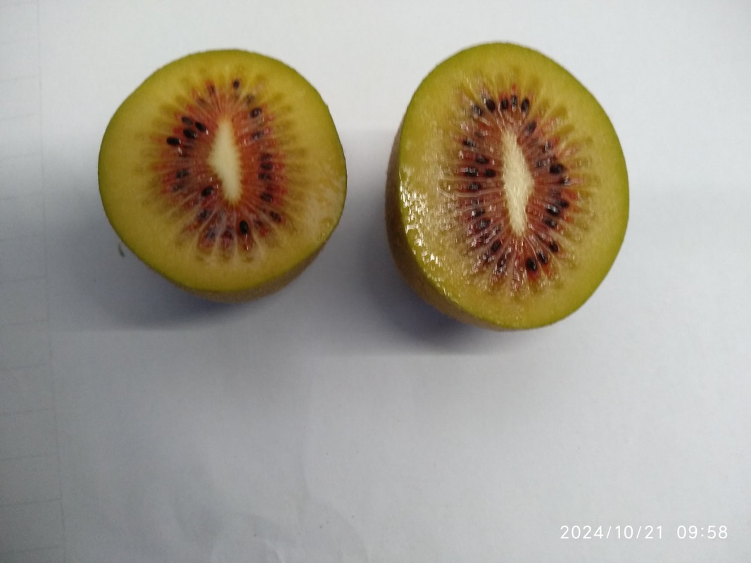 IMG-2418b572f6a960caeedaf54cb110bfe6-V