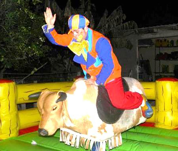 Touro Mecânico Luxo - Foto 4