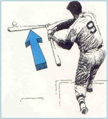 Ted-Williams-Lag.jpg