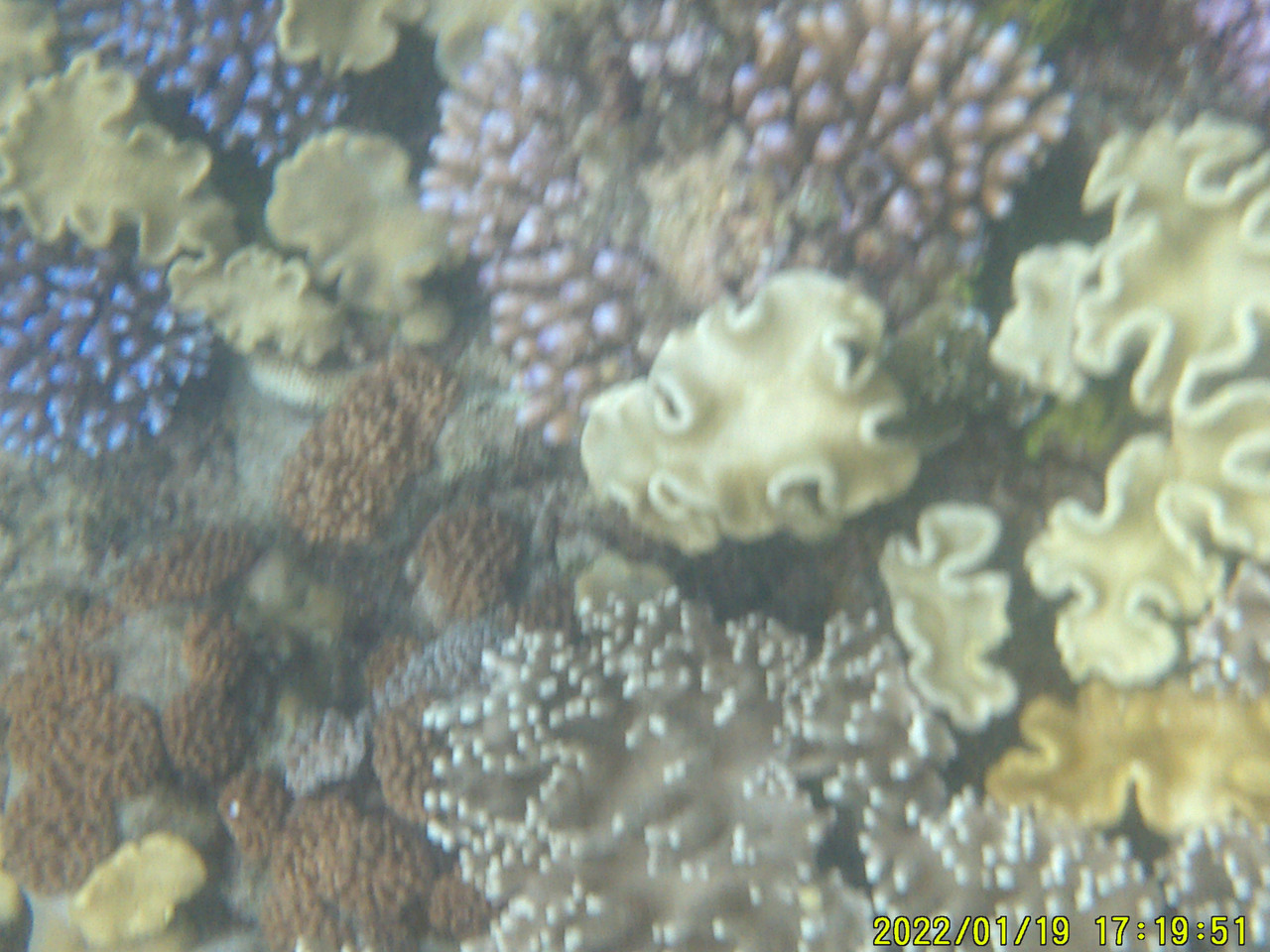 DSCF0041