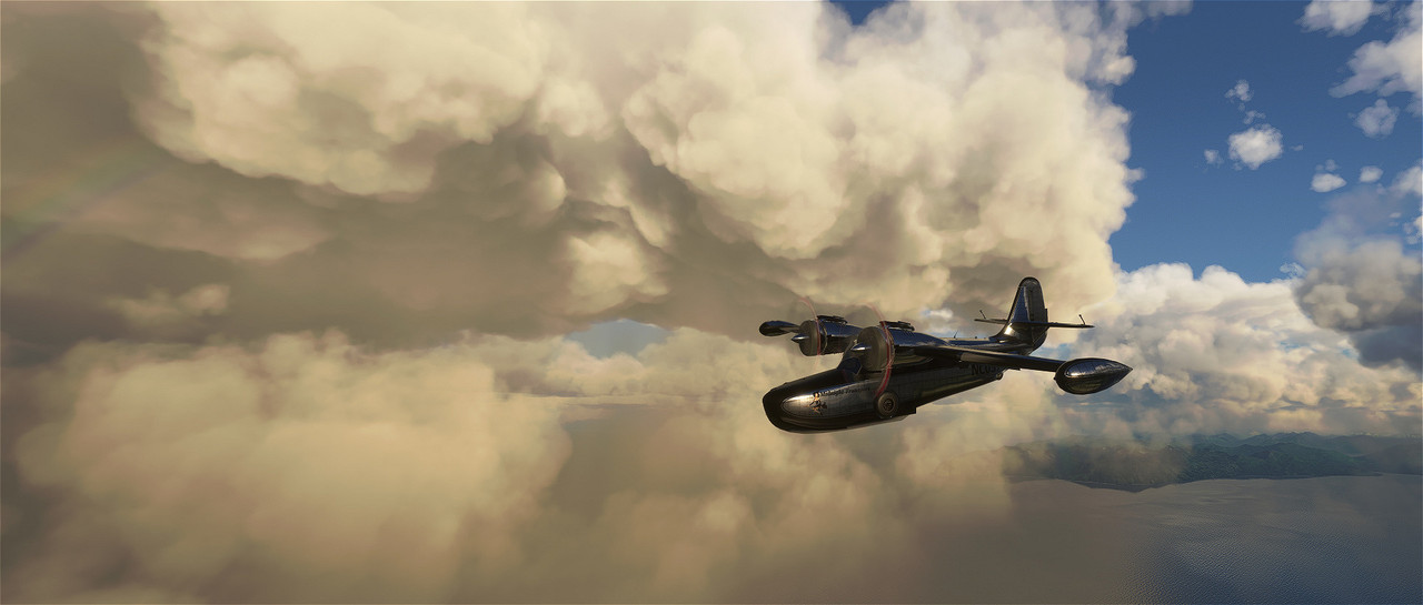 Goose-22.jpg
