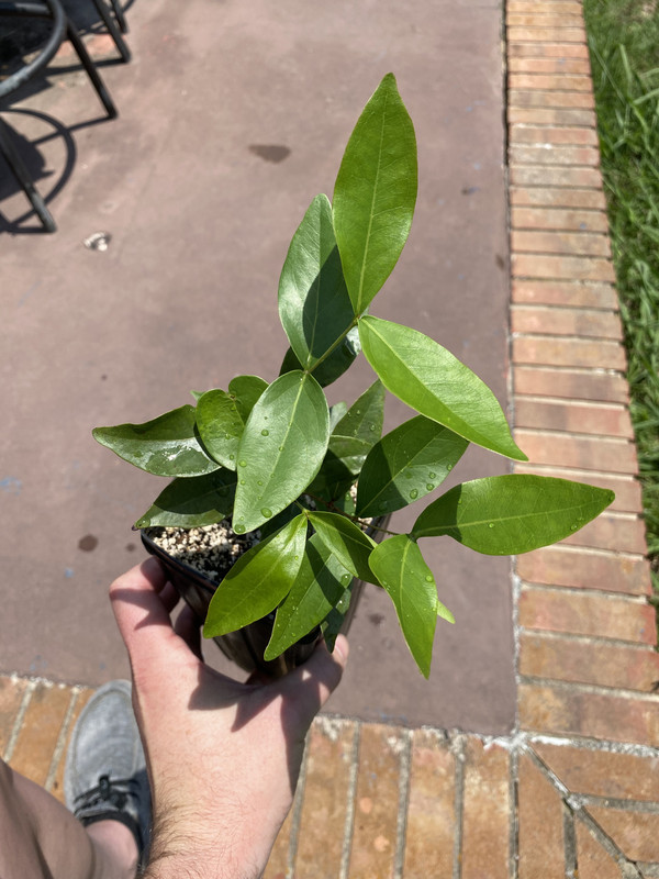 98462B64-7098-4DB3-9935-294F53FECE04