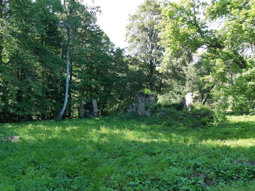 07.03 - 20220618_160650 (PiTT)