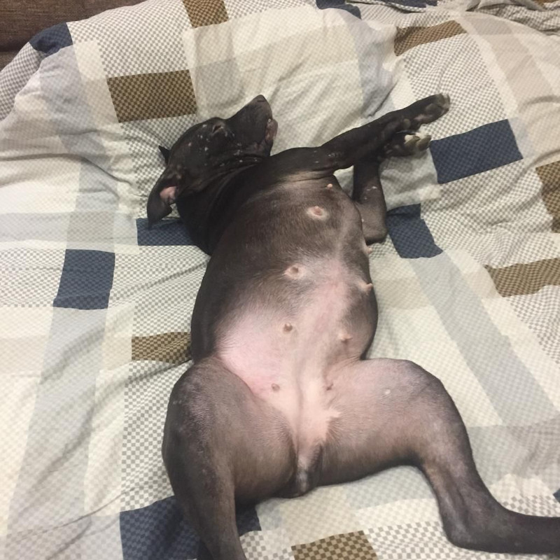 8D62A924-15FE-418F-A172-E2389E4FC925