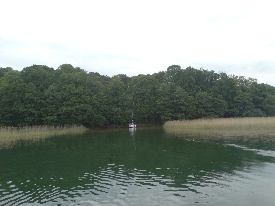 24 - DSC04054 (Czesio1)