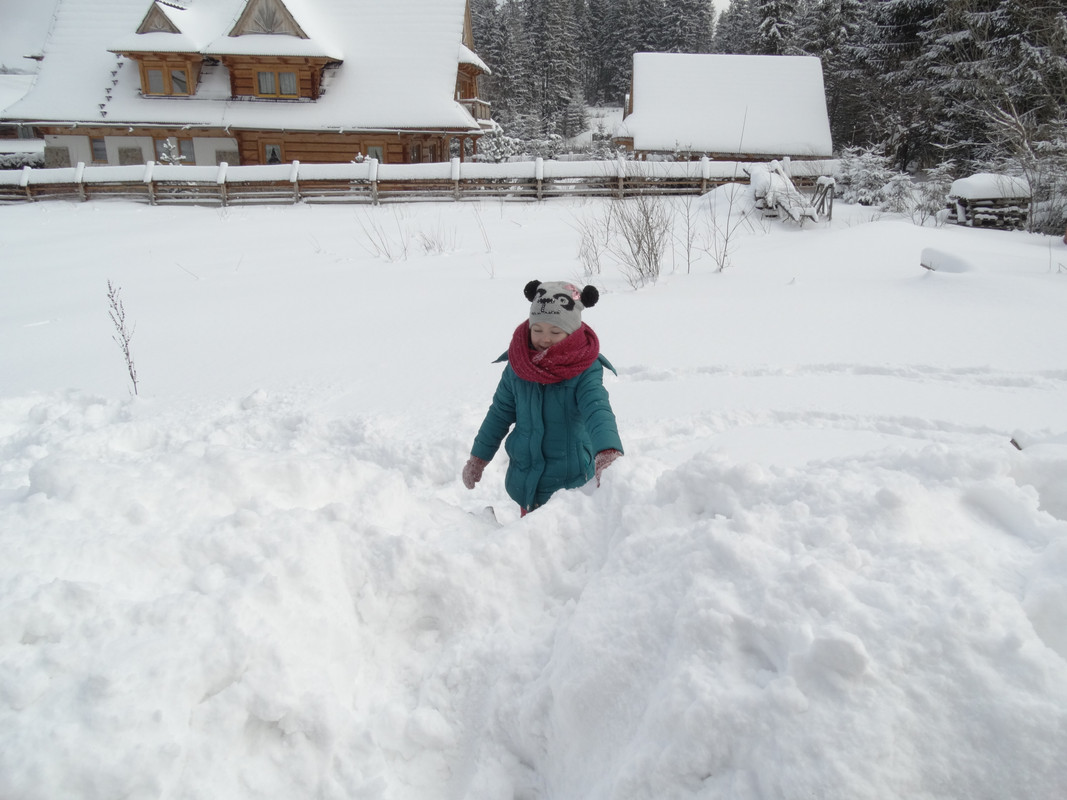 02.06 - DSC06157 (Czesio1)