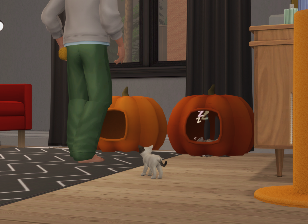 Sims2-EP9-RPC-2024-01-13-17-40-32-10