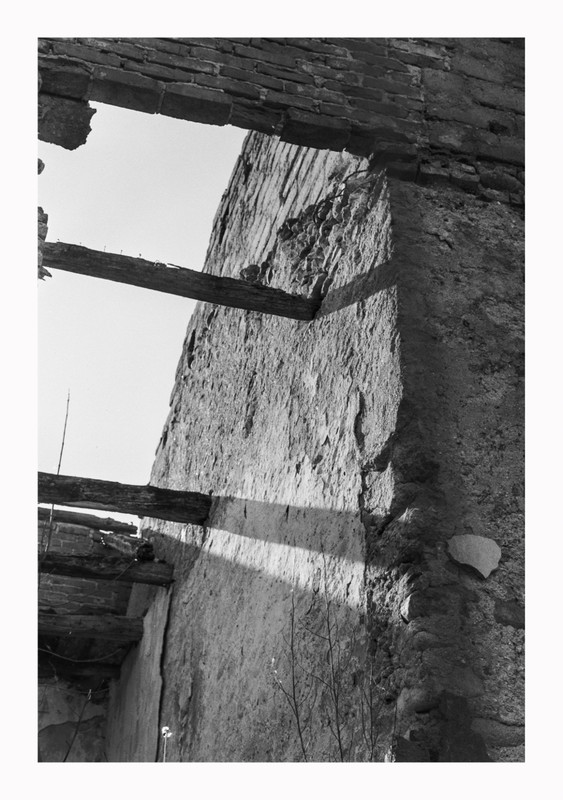 Nikon F_55mm 1.2_28apr2022_08bordo (900x1280)