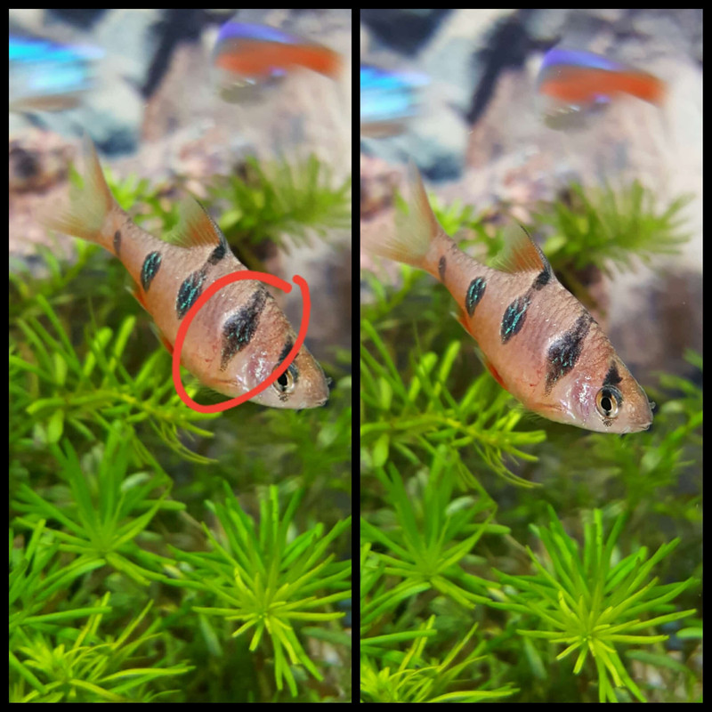 PhotoGrid_1468151784482