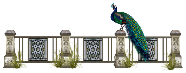 PeacockDreams_MM_Element (129)