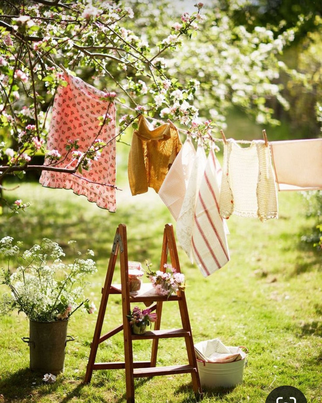 Screenshot_20240331_000847_Pinterest