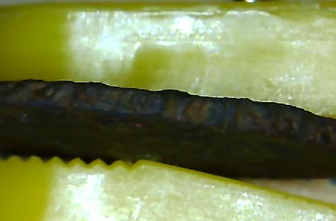 user posted image