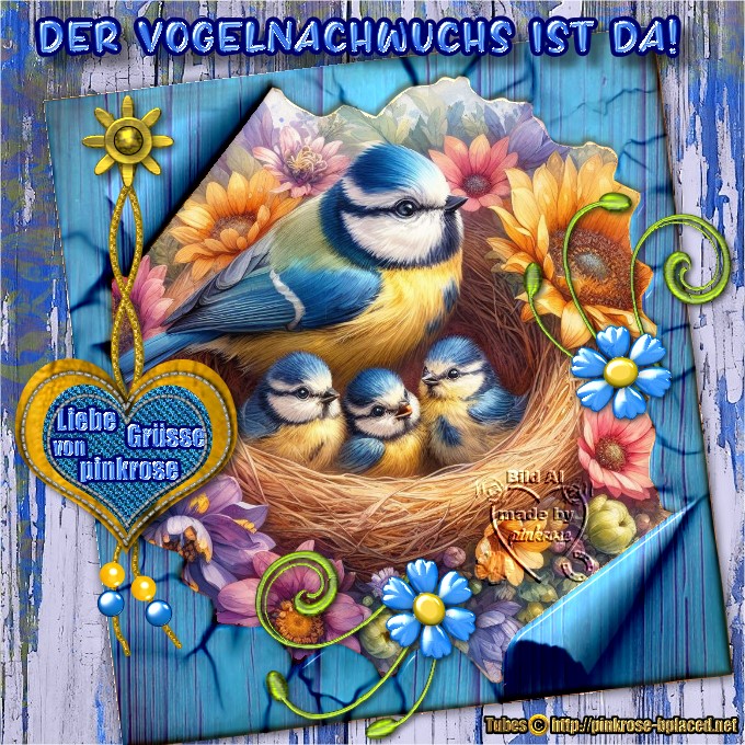 An den Beitrag angehängtes Bild: https://i.postimg.cc/TPwGPrrp/Rahmen-Papierfetzen2025-BLAUMEISEN-pinkrose2.jpg