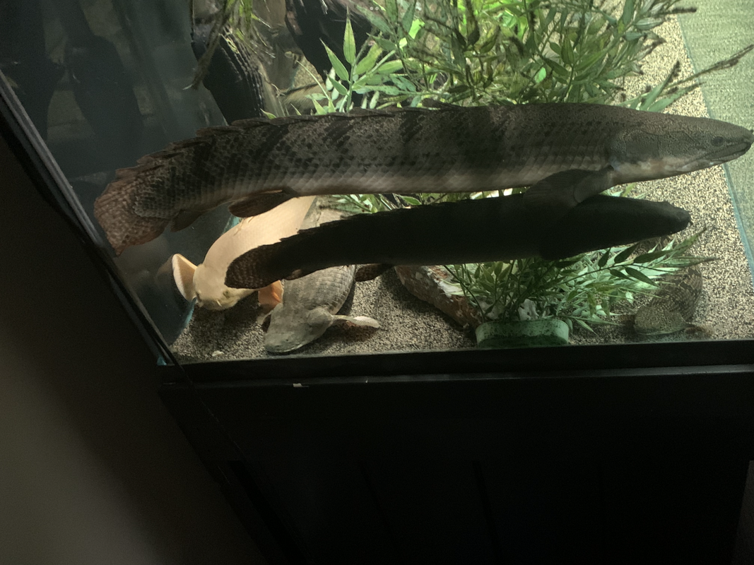 FAC30BB3-5E9C-4BC7-8DC3-24E301A9DADF