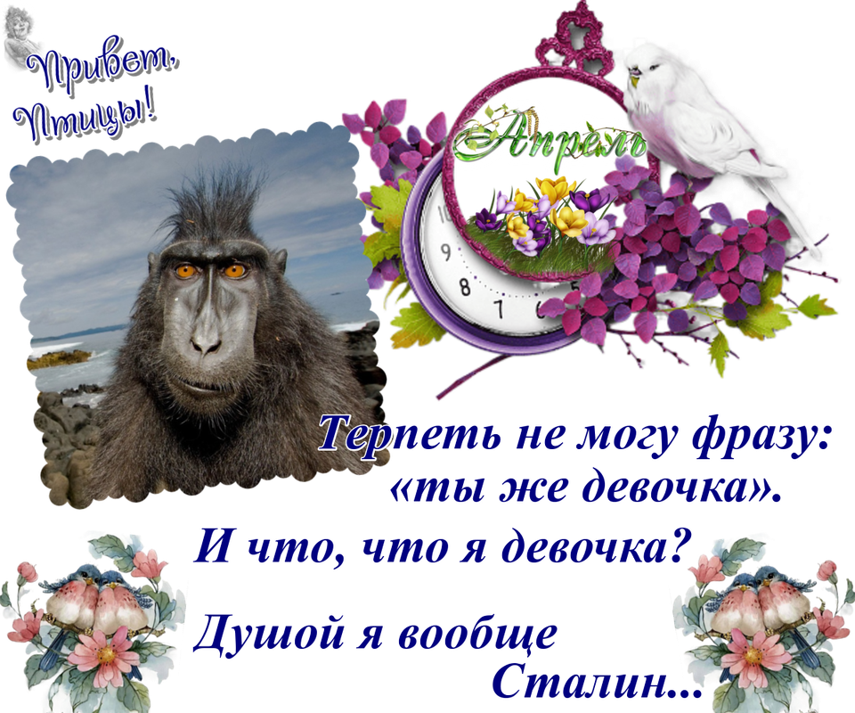 https://i.postimg.cc/TPwT4g36/02-04.png