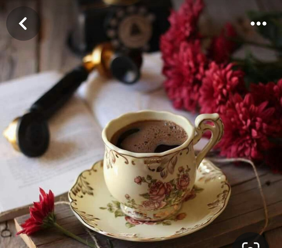 Screenshot_20240328_233648_Pinterest