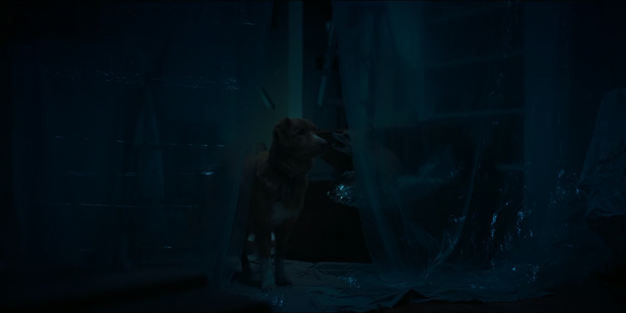 Good Boy 2025 720p 10bit WEBRip 6CH x265 HEVC PSA mkv snapshot 00 09 52 678