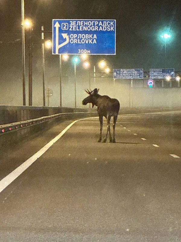 IMG_20230831_133944_505