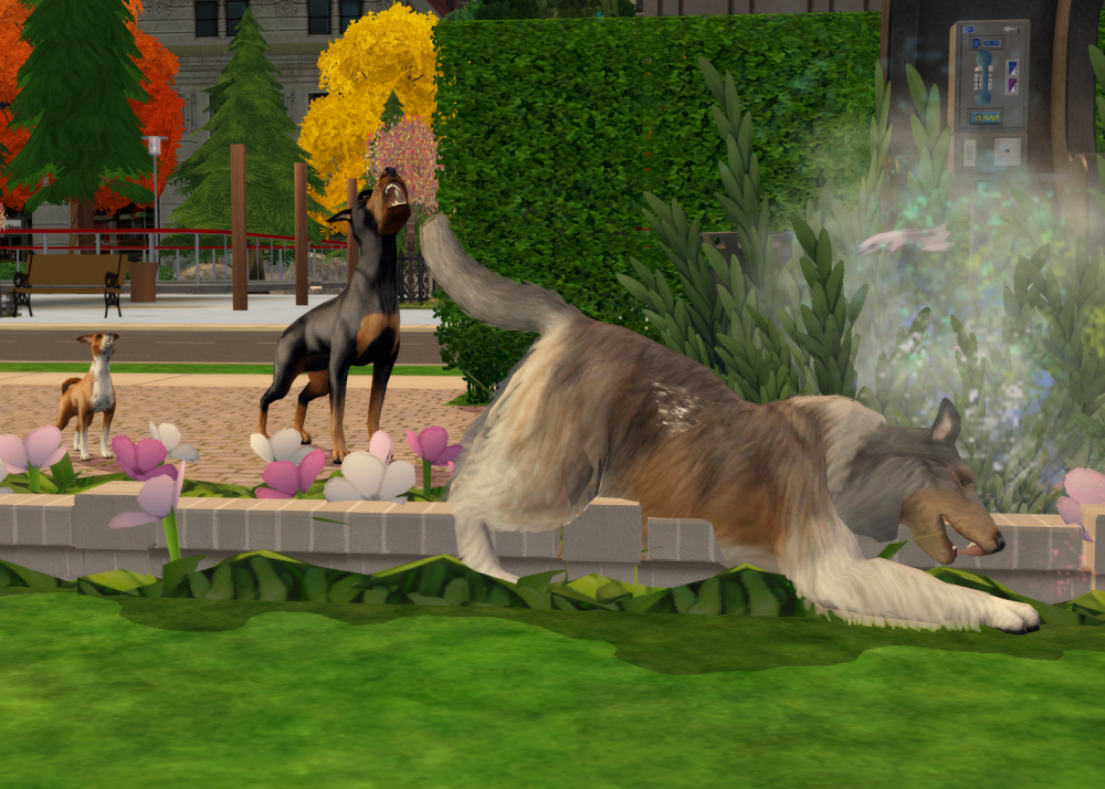 Sims2-EP9-RPC-2022-06-21-22-13-21-25