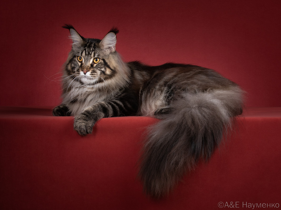 5DE417AE-ABC0-45E7-A154-C58981C0BEE1