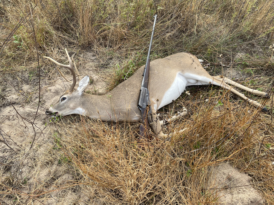 33CE31A2-5CEE-447B-BB7C-27FFF6326BBC