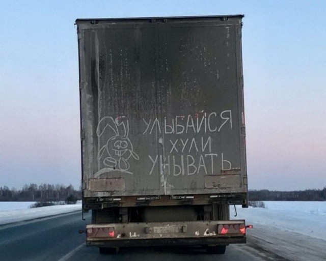 https://i.postimg.cc/TPxDRZFT/14175676.jpg