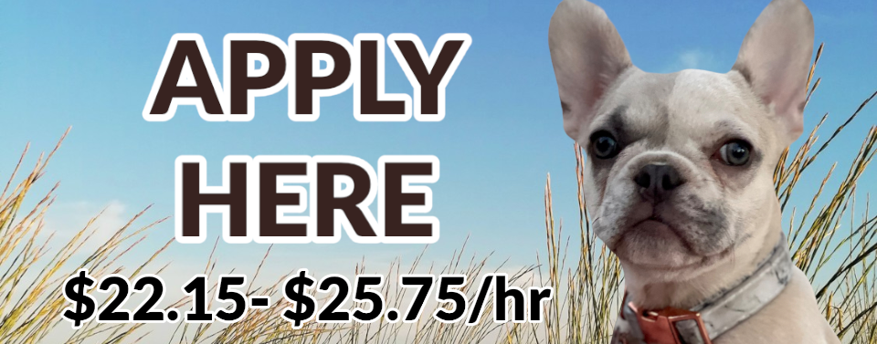 Apply Here