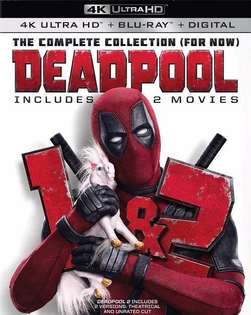 Deadpool (2016-2018) MULTi.REMUX.2160p UHD.BluRay.HDR.HEVC.ATMOS.7.1-DENDA | Lektor, Dubbing & Napisy PL
