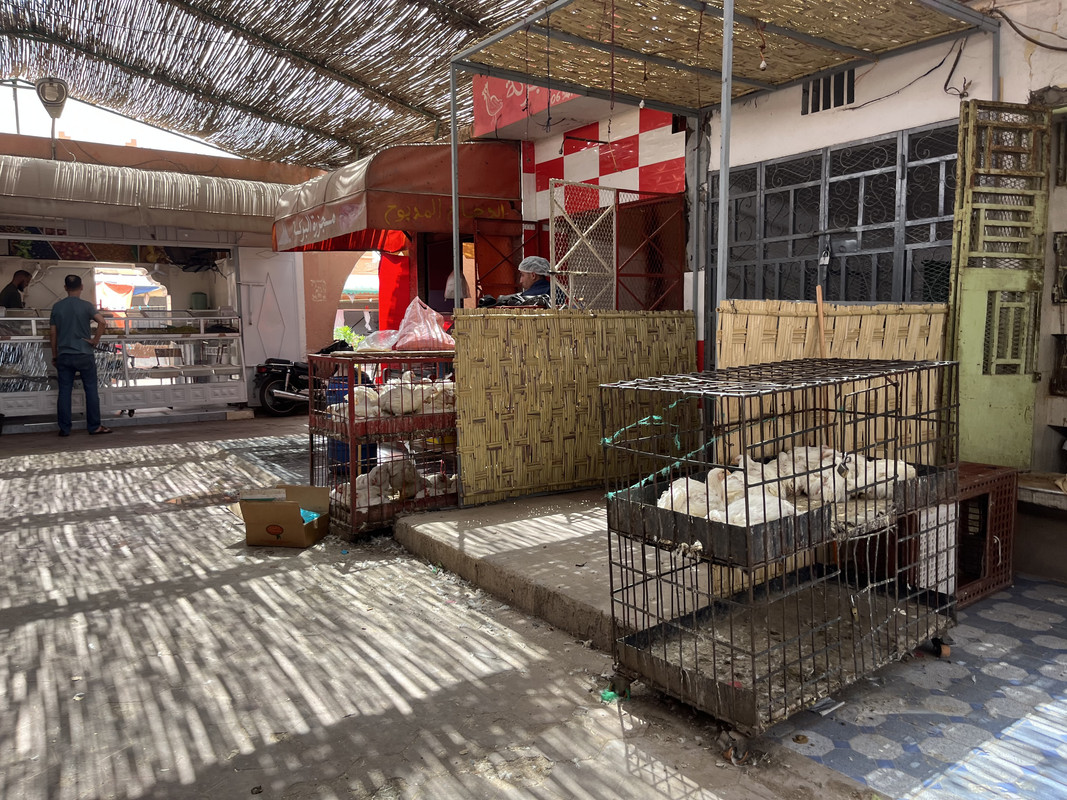 El Valle del Drâa, la gran arteria del sur de Marruecos - Blogs de Marruecos - Ouarzazate, un decorado de cine (68)