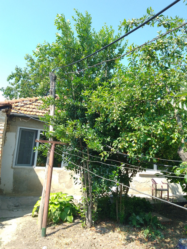 IMG_20230704_153545_836