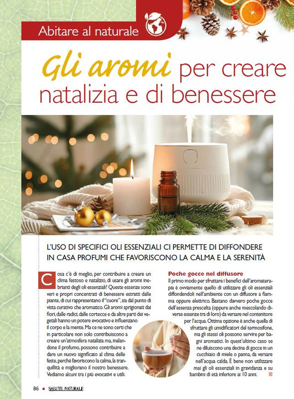 Sal Nat Dic 2024 (11)