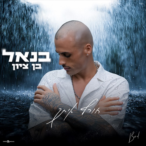 תמונה