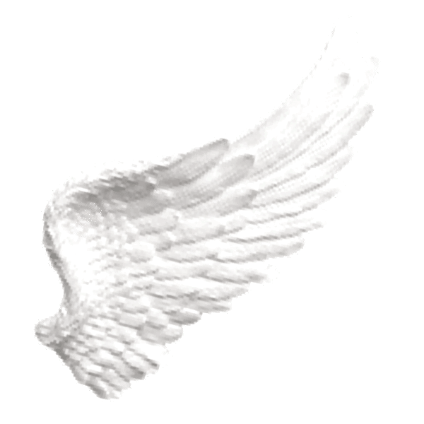 white 42