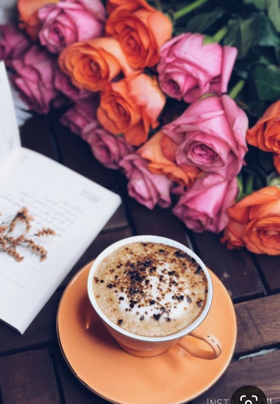 Screenshot_20240424_224438_Pinterest