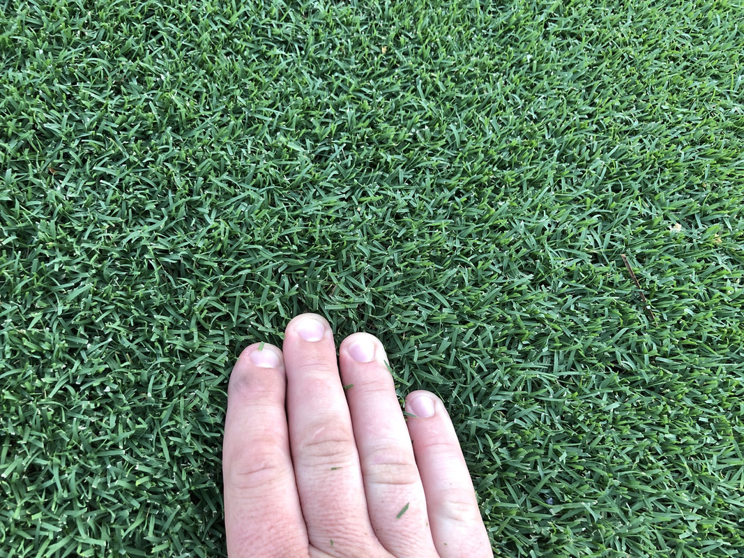 6573986F-52AD-4C24-AB1E-AAB459EDD1DE