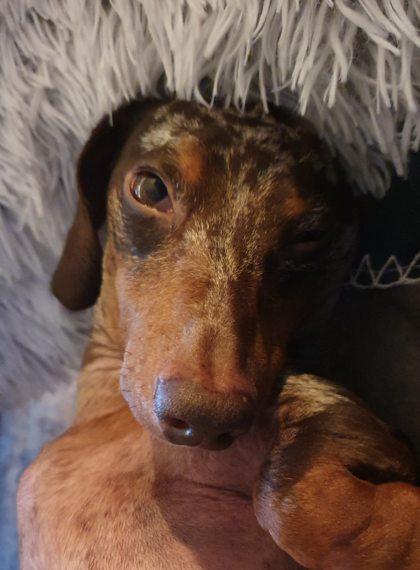 [Image: 20211219-215506.jpg]