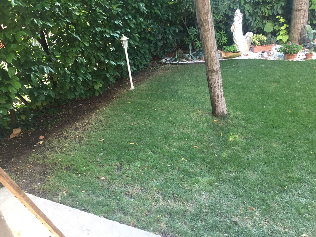 E931AADC-8454-470A-AC40-5F6BDE38038D