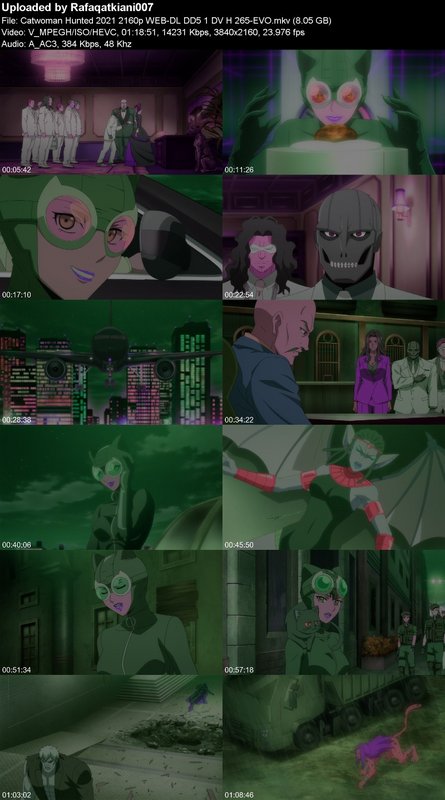 Catwoman Hunted 2021 2160p WEB-DL DD5 1 DV H 265-EVO