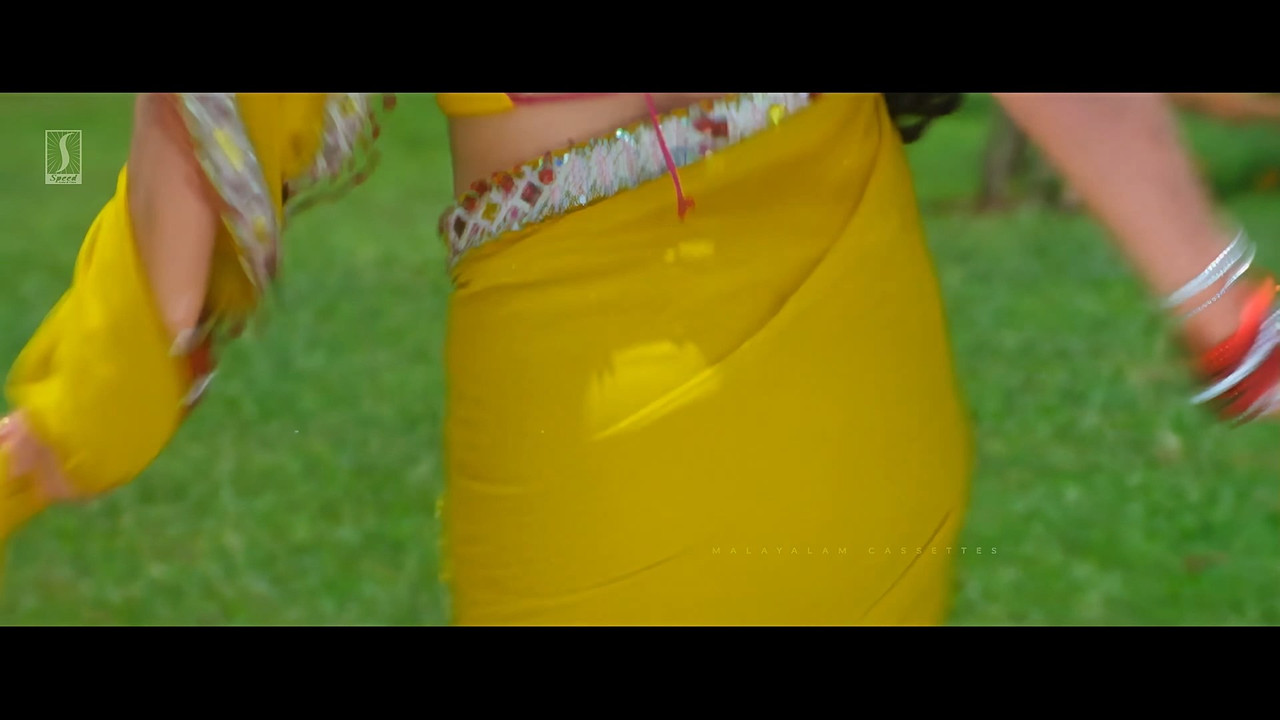 Rambha  Sexy and hot in diffrent saree from Kabadi Kabadi.mp4_snapshot_00.00.354
