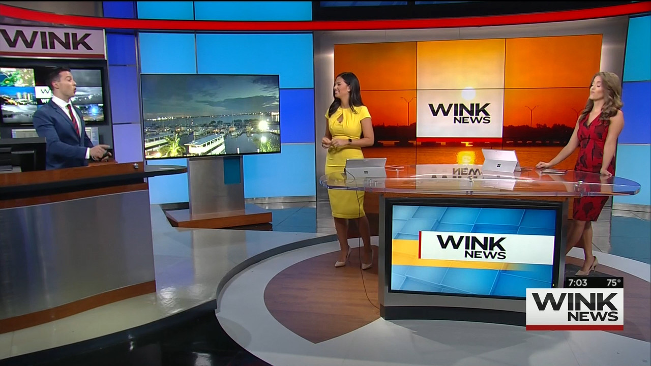 10.25 - 10.00.00 - WINK News @ 6 00AM Sunday..ts_snapshot_04.20.771