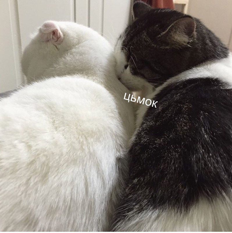 Screenshot 2021-10-15 at 11.51.23