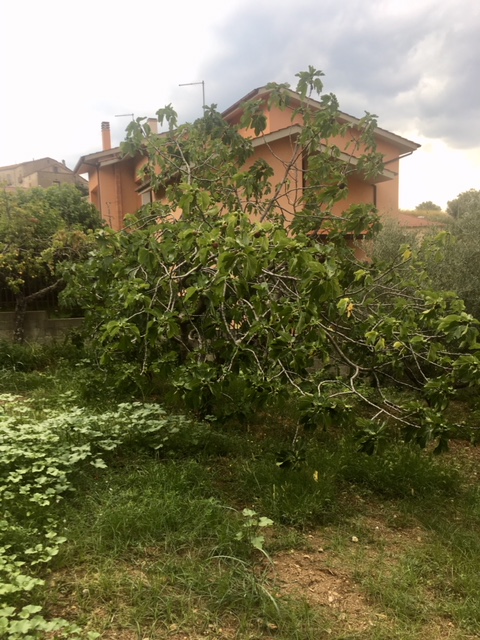 F8351D0C-AC0A-4F86-B76B-82ED91A975B1