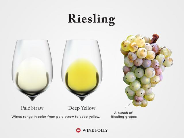 https://i.postimg.cc/TPzbmCnN/Riesling-Wine-Grapes-Glass-Wine-Folly.jpg