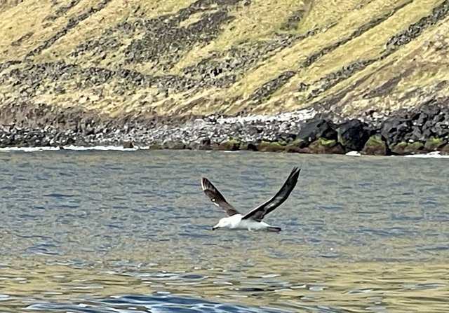 [Linked Image from i.postimg.cc]