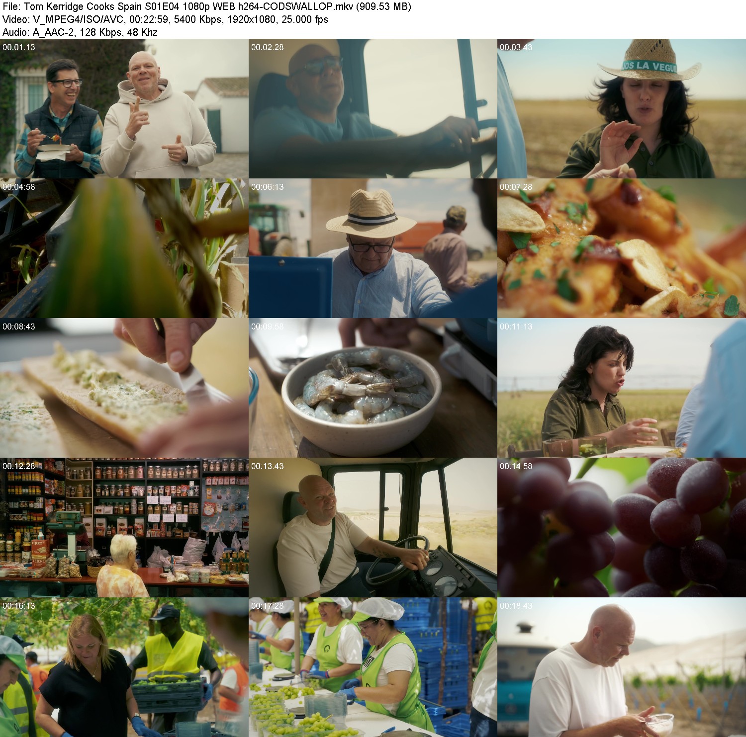 [Image: d767ovkjy9en.jpg]