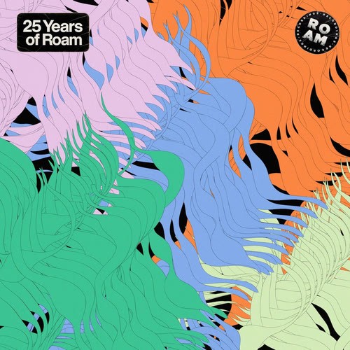 VA-Roam-25-Year-Compilation-ROM150-WEB-2