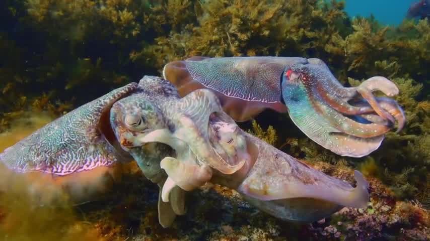 [Image: c3v5c8xfzif6.jpg]