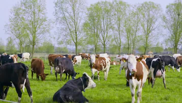 [Image: smfh6n00iq8n.jpg]