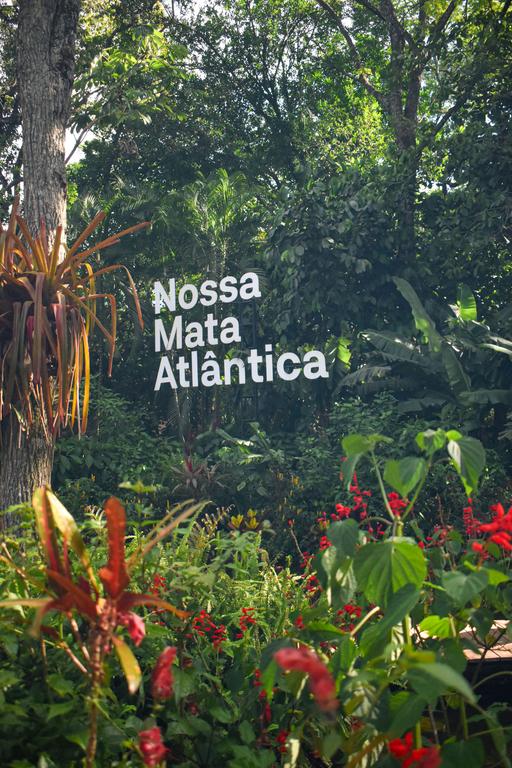 В джазе только девушки или аргентинско-бразильский калейдоскоп В джазе только девушки или аргентинско-бразильский калейдоскоп